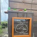 각자의 섬 이미지