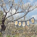 동막골펜션 이미지