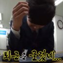 롯데택배 동대구 이미지