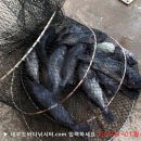 솔하우스 이미지