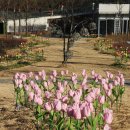 신구대학박물관 이미지