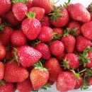 석교농장 이미지