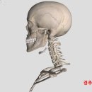 시니어 스트레칭 이미지