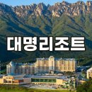 대명리조트 회원권 가격 종류 콘도회원권거래소