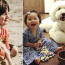 뷰티반려문화 이미지