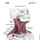 손목터널증후군, 목디스크도 아닌데 손이 만성적으로 아프면 여기 마사지 해보세요 이미지