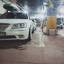 뉴 퍼시픽 이미지