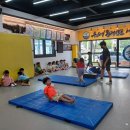 블랙벨트 태권도 도장 | 홍천 용인대블랙벨트 태권도 아이들이 즐거워 하는 도장 후기!