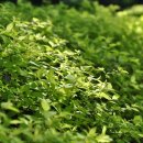 소향공원 이미지