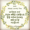 샬롬 이미지