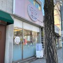 댕그레 | 광주 북구 애견미용 잘하는곳 &#34;댕그레&#34;