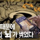 [8] 청중을 고려하여 발표하기 [쇼트 폼 콘텐츠가 뇌에 미치는 영향] 이미지