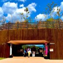 하늘달팽이 | [밀양 가볼 만한 곳] 밀양 용두산생태공원/달팽이 전망대/밀양강 수변 잔도(산책로)