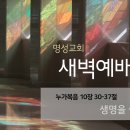 영성일기 2026.01.23.(금) 새벽기도회 (찬송) 94장 주예수보다더귀한것은없네 (성경) 눅 10:30-37생명을 살리는 투자 이미지