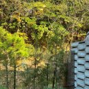 스테이그레이 이미지