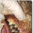 밀리언동물병원 이미지