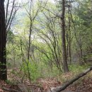 방글농장 이미지