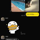하얀고래편의점 | 💙바다와 하나가 되었던 보홀 첫 프리다이빙 투어🐢🤿🐬👙🐠🐟🌊🪼🪸🦭🏖️