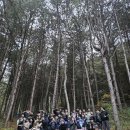 가온태권스쿨 이미지