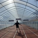 중앙로 164(파주스타디움 앞) | 파주스타디움 비닐하우스 러닝트랙 후기!!!