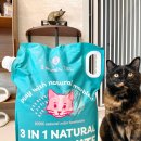 티에스엘 이미지