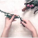 한국무용 문화강좌 이미지