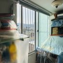 태양맨션 이미지