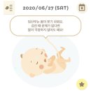 일광농장 네이버블로그