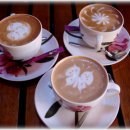 장가이버 이미지