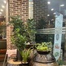 곤드레밥집 이미지