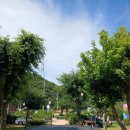 배내의아침 독채펜션 이미지