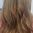 살롱드마리 이미지