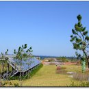 군산바다 이미지