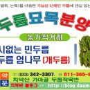 강림면382 이미지