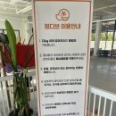 멍디브