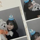 먼지.zip | 먼지의 5살 생일, 지금까지 강아지 생일파티 사진 모음 zip