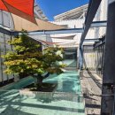 더컨테이너펜션 이미지