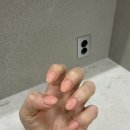 네일빛들