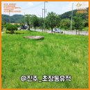 초장동15 이미지