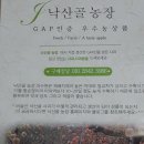 애정수신/낙산골농장,청도비슬산사과는 아삭아삭 수분가득 꿀사과♡