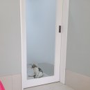 비나인동물병원 이미지