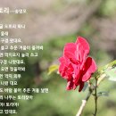 율리주공세탁소 | [부산] 가람낙조길(화명수목원-금곡동) 산행후기---2022년 10월 11일(화)