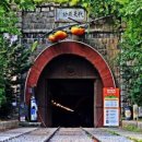 봄나드리투어 이미지