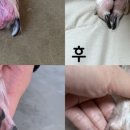 (주)쿨펫 이미지