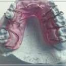 365효플란트치과의원 이미지