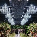 별빛약국 | 노원 테라리움 서울 견적 식대 공유ㅣ26년 하반기 견적