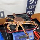 일본 🇯🇵 삿포로 킹크랩 게 맛집 니조시장 마루다이수산 후기 가격