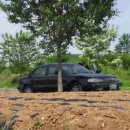 어야어야 이미지