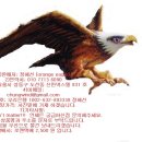 오렌지 착한상품, 착한가격 \ 56,000 균일 ( PUMA/ Clride / Helly Hansen < HH > )*** 판매완료 !!! *** 이미지