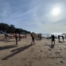 양양 캠프 발리별 이미지